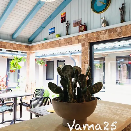 Vama 25-