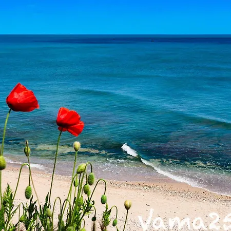 Vama 25- 바마베체