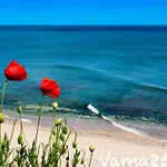 Vama 25- Vama Veche
