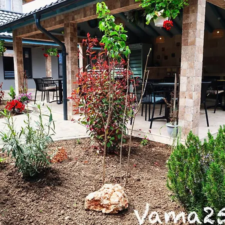 Gasthuis Vama 25- *